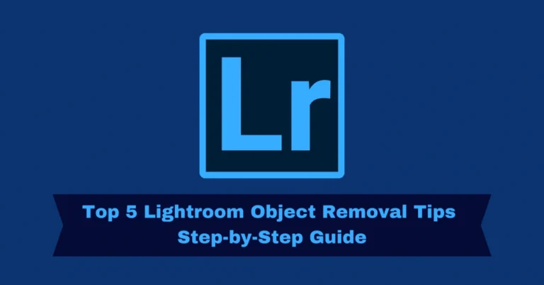 Object Removal