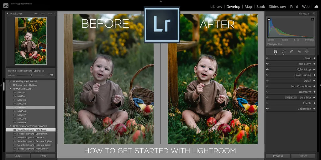 Lightroom Presets