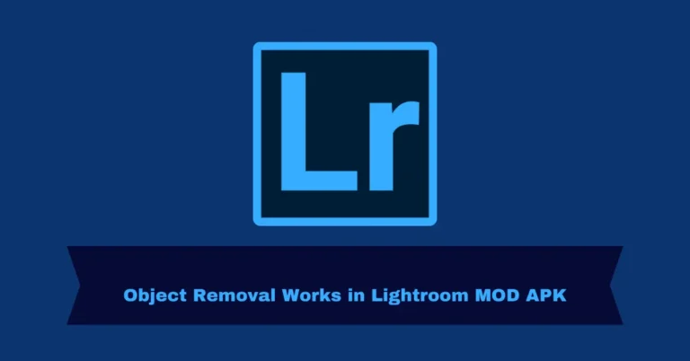 Object Removal Works in Lightroom MOD APK